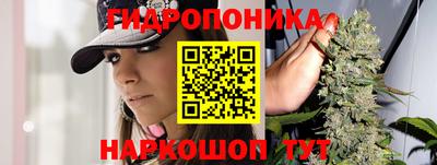 дживик Кунгур
